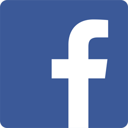 Facebook RISIS